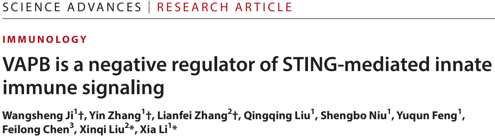 截屏2025-12-04 08.48.23